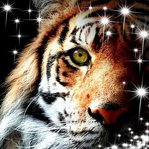 Meet your Posher, Keith